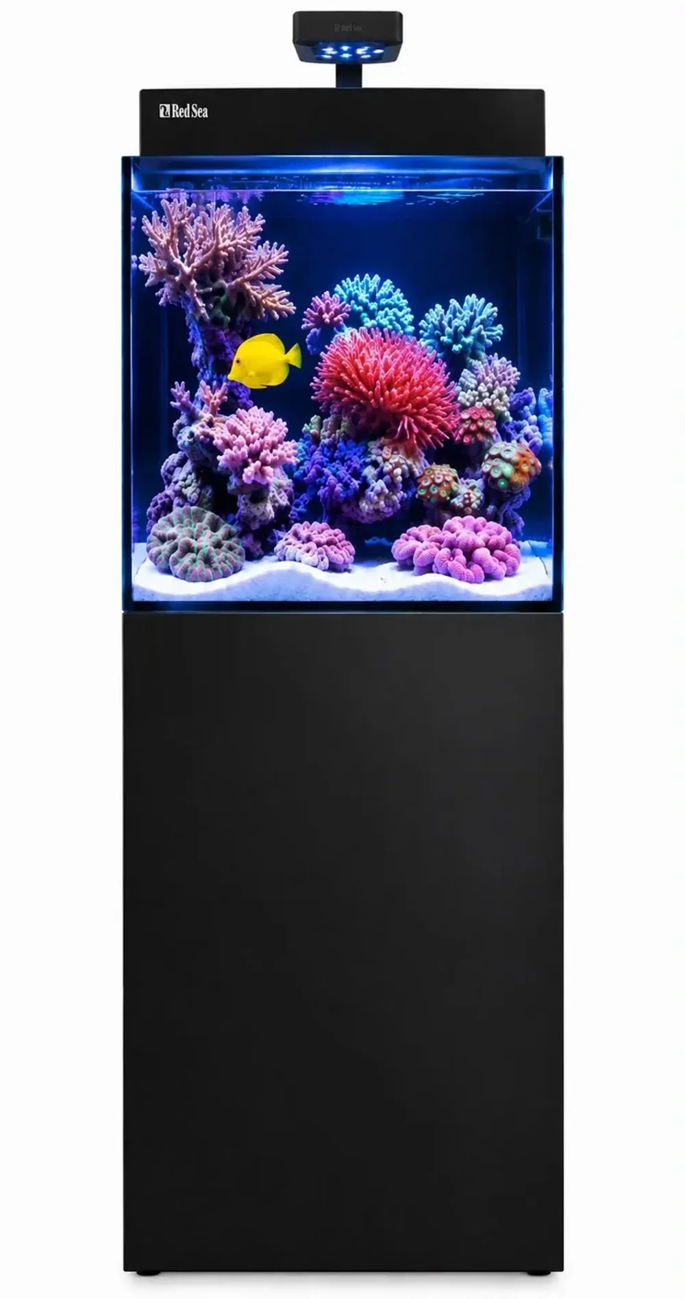 Our Red Sea Max Nano reef tank, its cabinet marked out into advertising slots